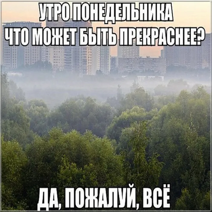 Красивые открытки и картинки Добрым утром понедельника.