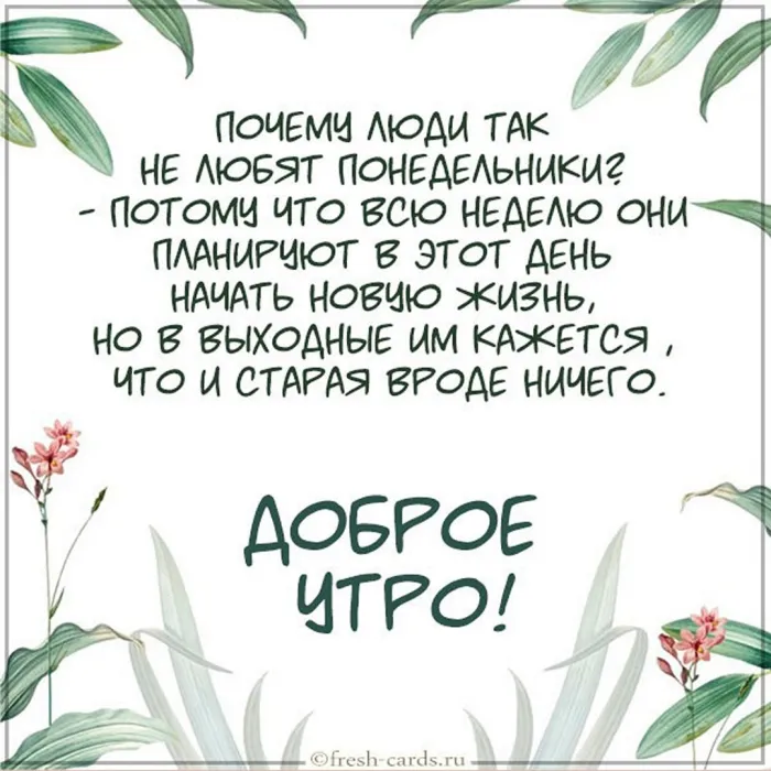 Красивые открытки и картинки Добрым утром понедельника.