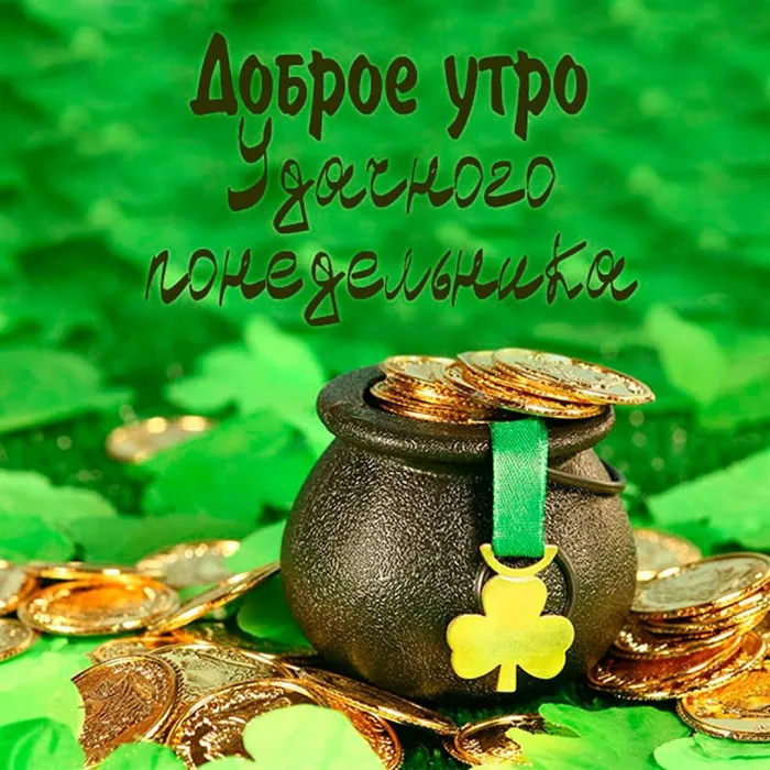 Красивые открытки и картинки Добрым утром понедельника.