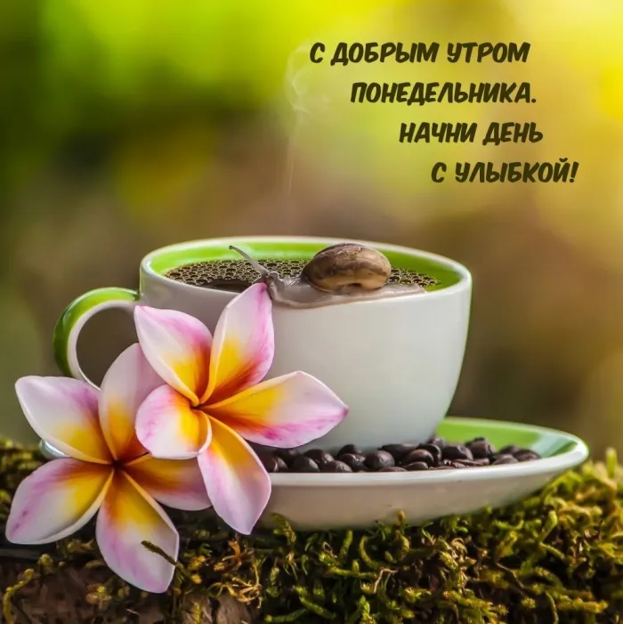 Красивые открытки и картинки Добрым утром понедельника.