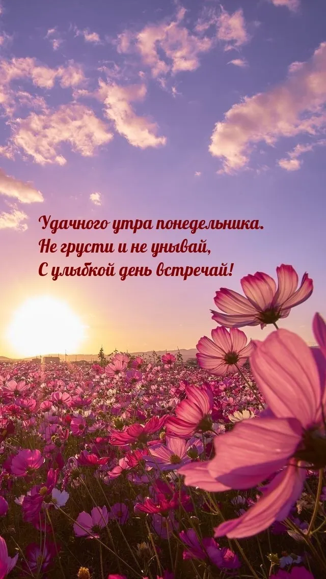 Красивые открытки и картинки Добрым утром понедельника.