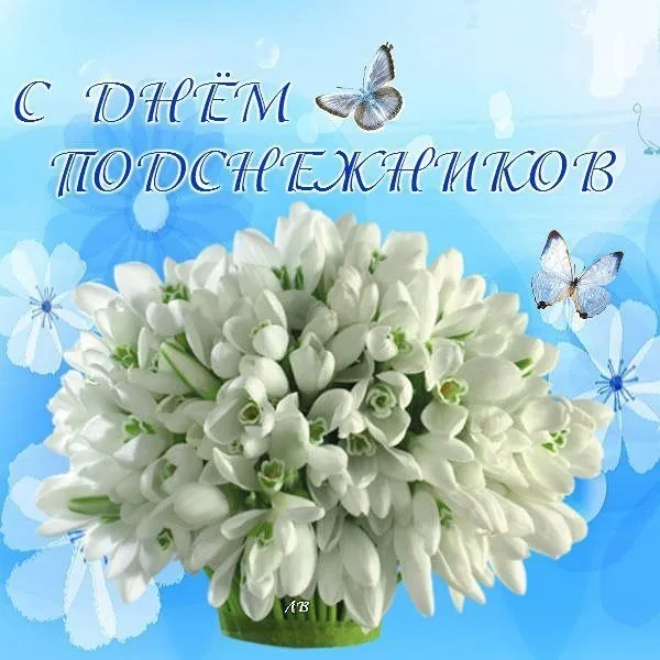 Картинки с Днем подснежника (70 открыток). Красивые