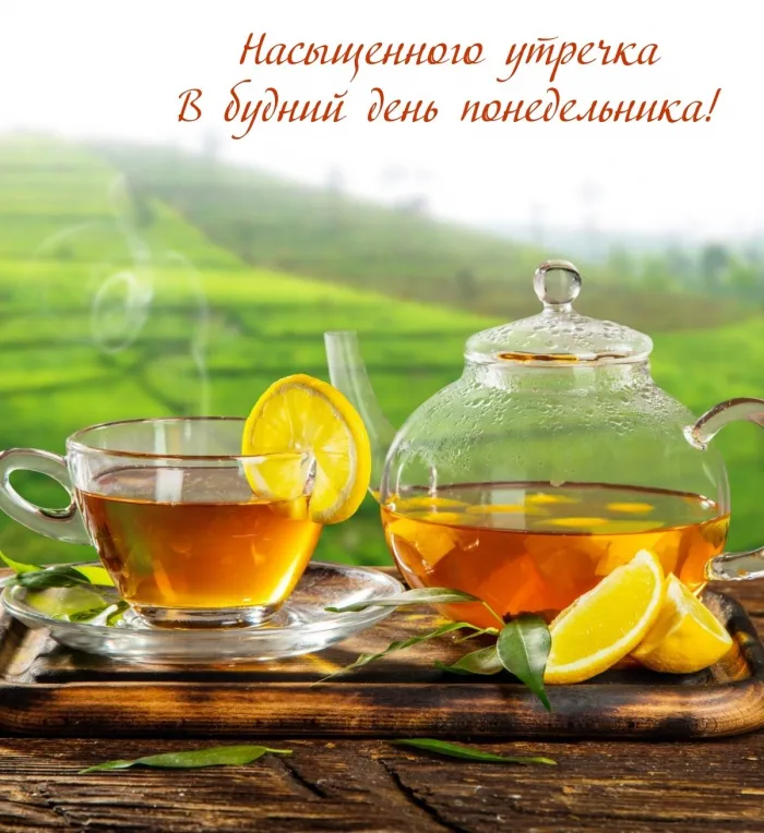 Красивые открытки и картинки Добрым утром понедельника.