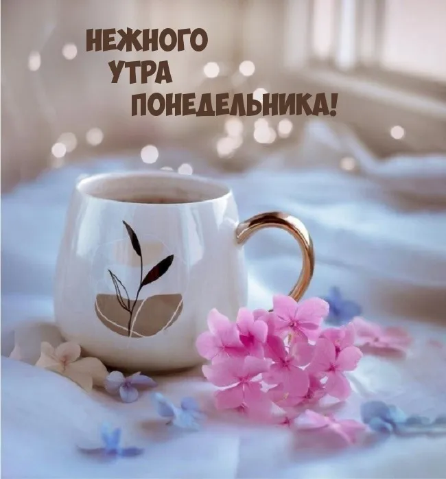 Красивые открытки и картинки Добрым утром понедельника.
