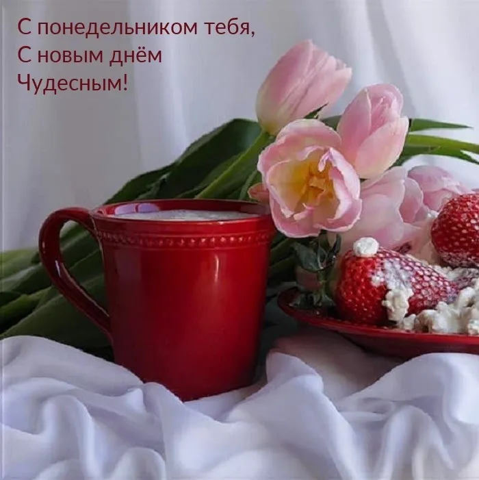 Красивые открытки и картинки Добрым утром понедельника.