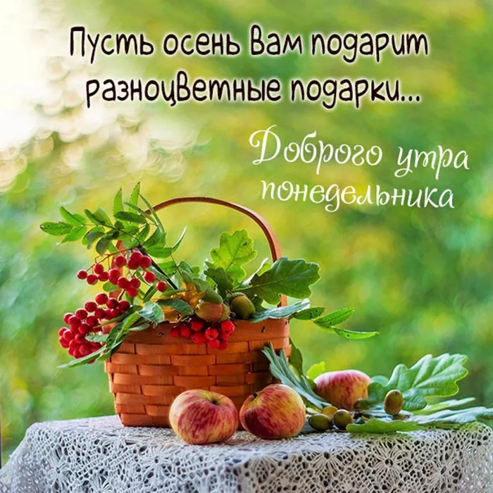 Красивые открытки и картинки Добрым утром понедельника.