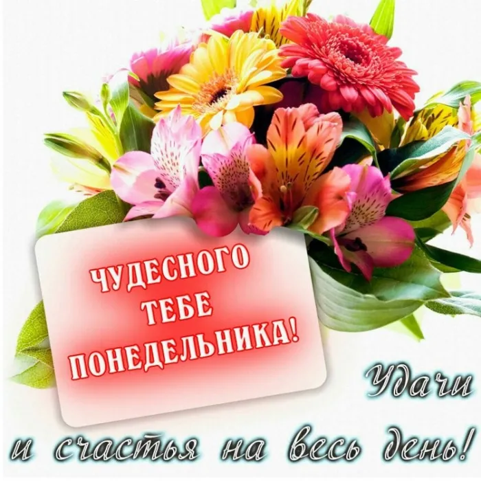 Красивые открытки и картинки Добрым утром понедельника.