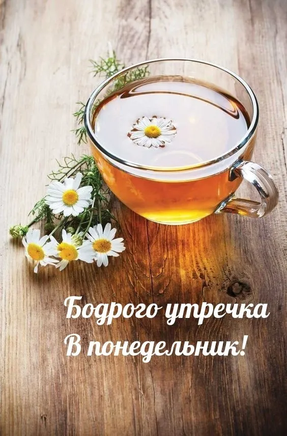 Красивые открытки и картинки Добрым утром понедельника.