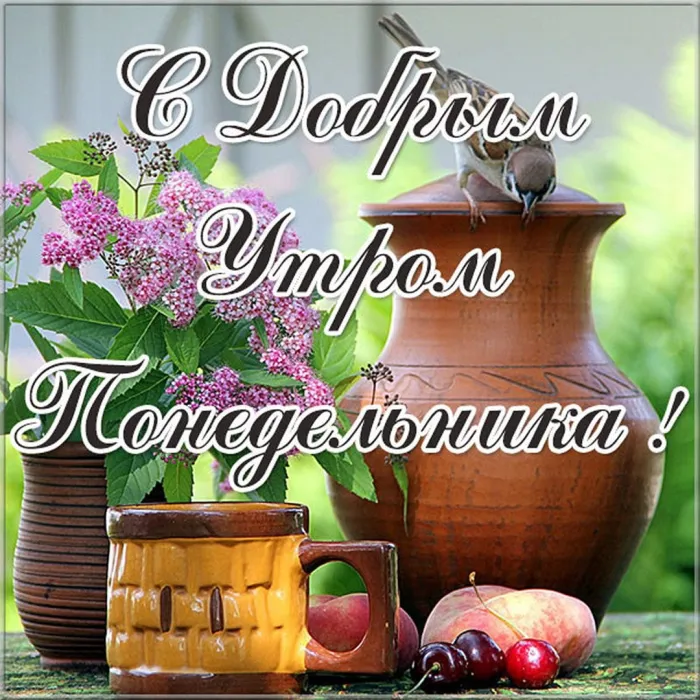 Красивые открытки и картинки Добрым утром понедельника.