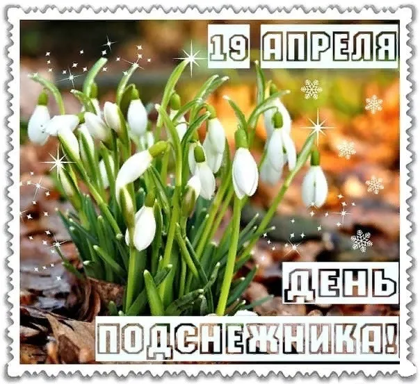 Картинки с Днем подснежника (70 открыток). Красивые