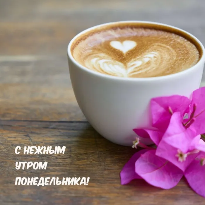 Красивые открытки и картинки Добрым утром понедельника.