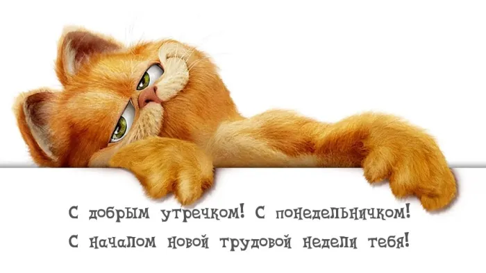 Красивые открытки и картинки Добрым утром понедельника.