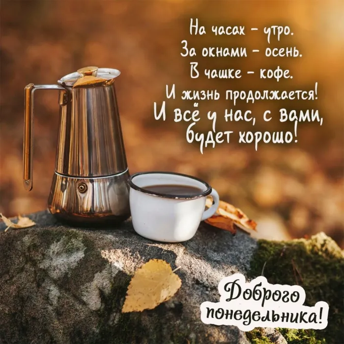 Красивые открытки и картинки Добрым утром понедельника.