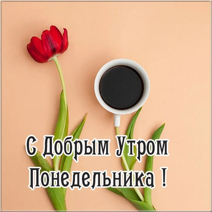 Красивые открытки и картинки Добрым утром понедельника.