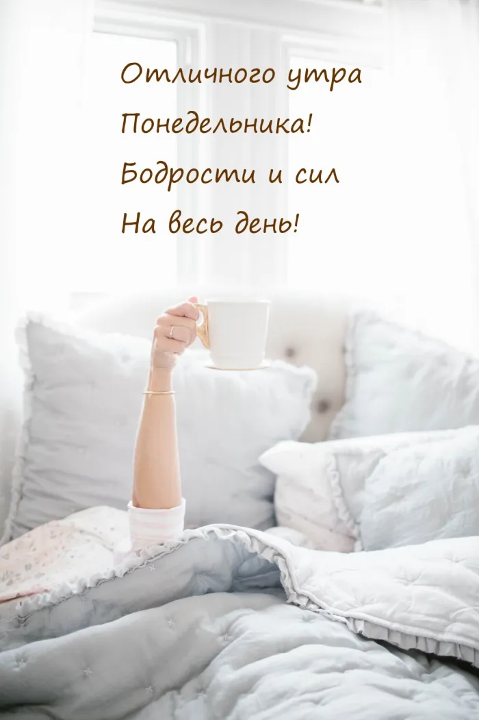 Красивые открытки и картинки Добрым утром понедельника.