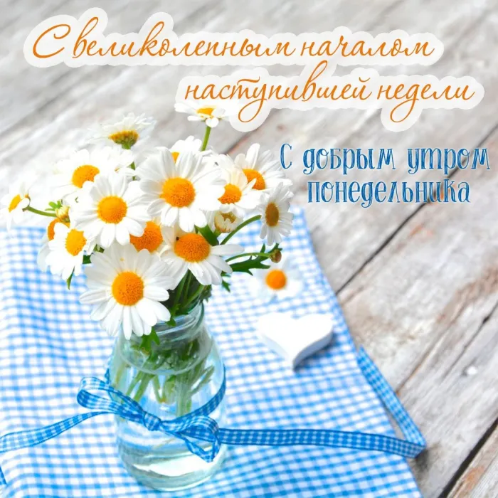 Красивые открытки и картинки Добрым утром понедельника.