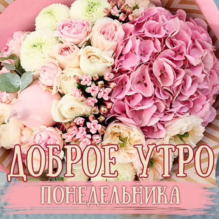 Красивые открытки и картинки Добрым утром понедельника.