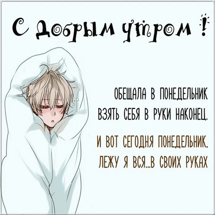 Красивые открытки и картинки Добрым утром понедельника.