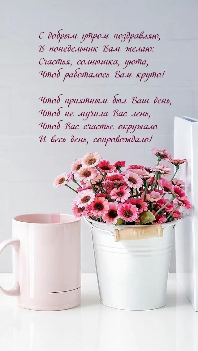 Красивые открытки и картинки Добрым утром понедельника.