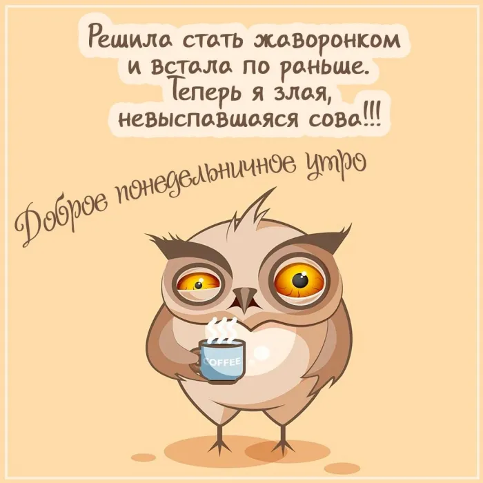 Красивые открытки и картинки Добрым утром понедельника.