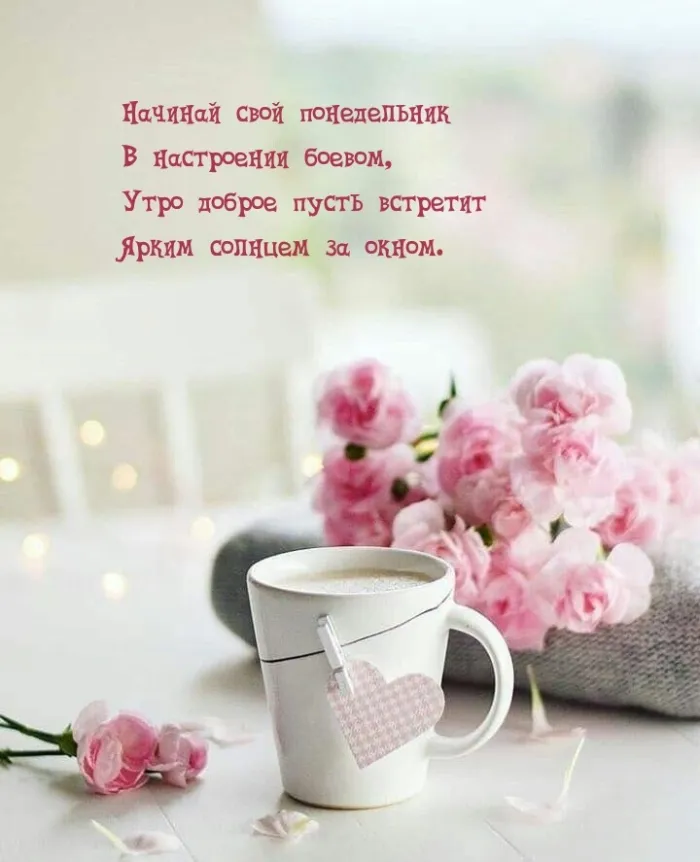 Красивые открытки и картинки Добрым утром понедельника.