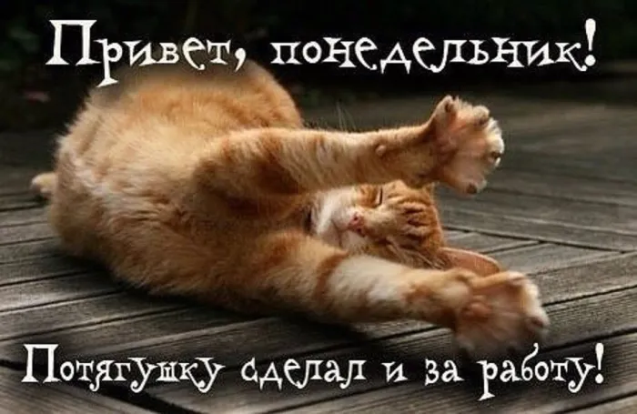 Красивые открытки и картинки Добрым утром понедельника.