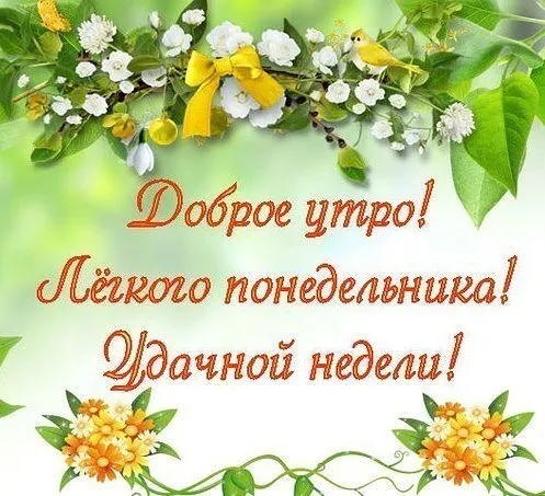 Красивые открытки и картинки Добрым утром понедельника.