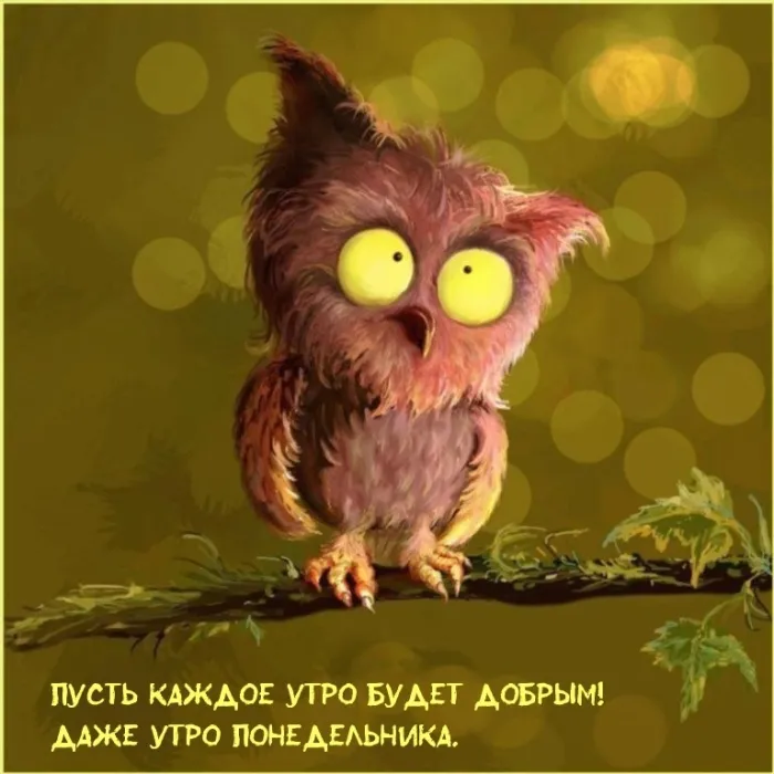 Красивые открытки и картинки Добрым утром понедельника.