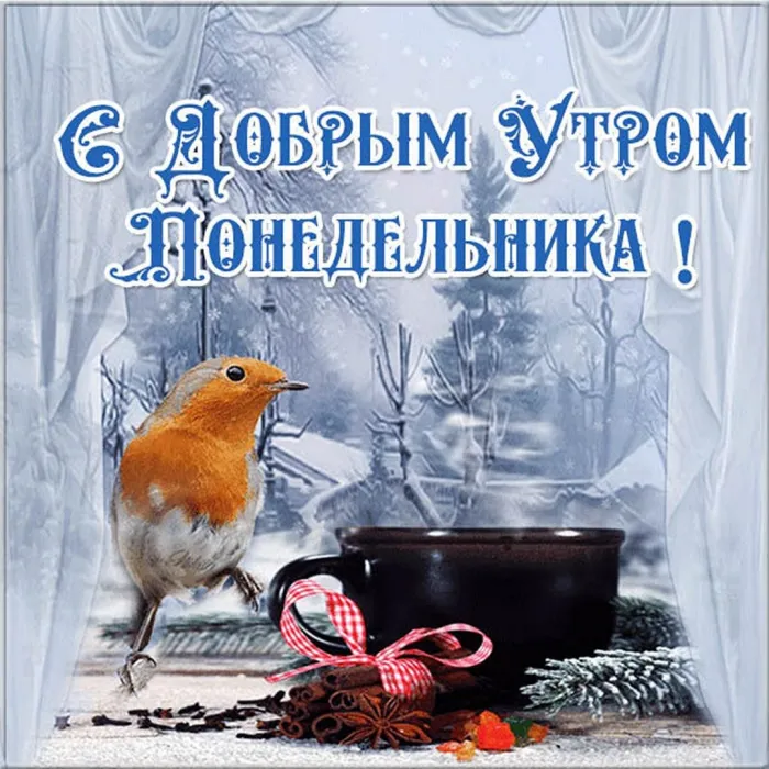 Красивые открытки и картинки Добрым утром понедельника.