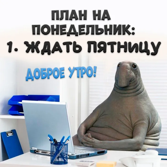 Красивые открытки и картинки Добрым утром понедельника.