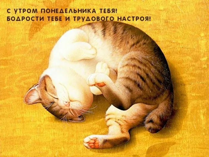 Красивые открытки и картинки Добрым утром понедельника.