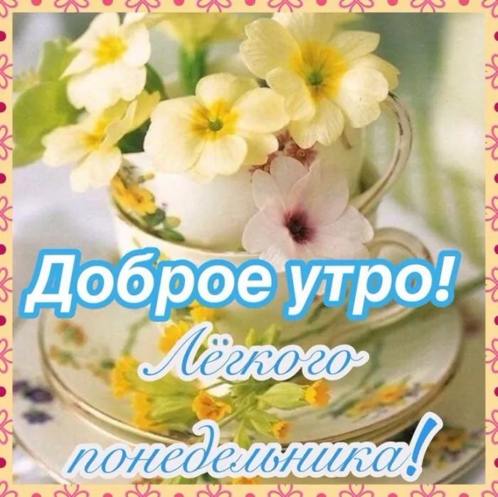 Красивые открытки и картинки Добрым утром понедельника.