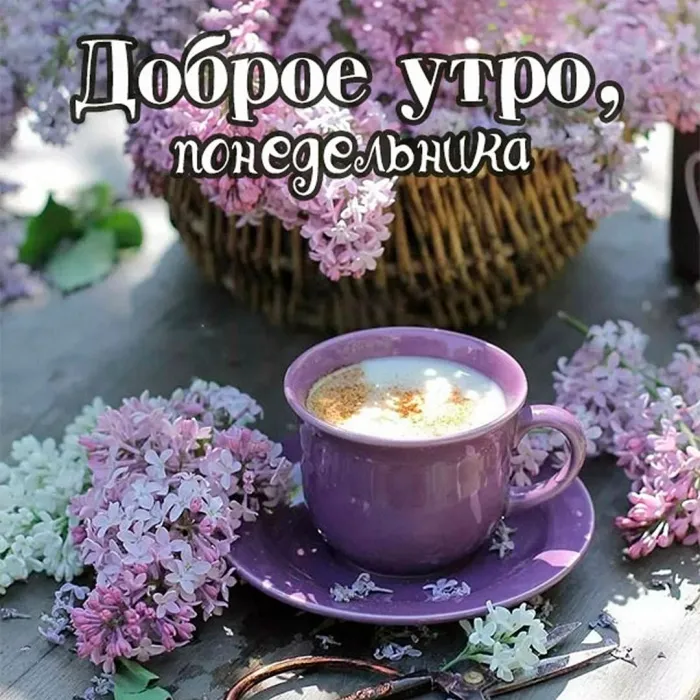 Красивые открытки и картинки Добрым утром понедельника.