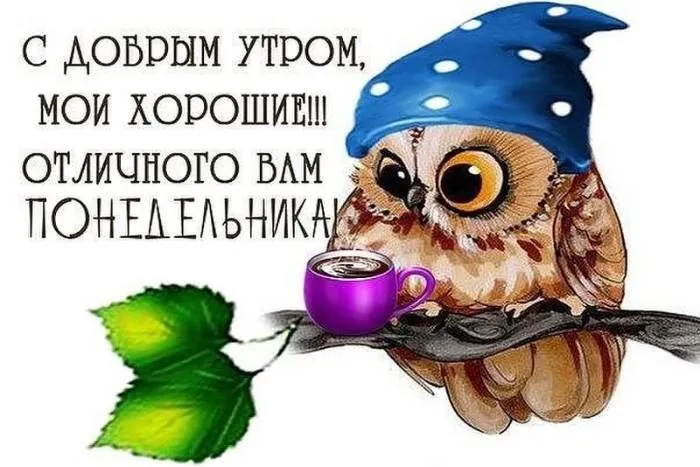 Красивые открытки и картинки Добрым утром понедельника.