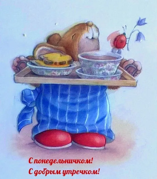 Красивые открытки и картинки Добрым утром понедельника.
