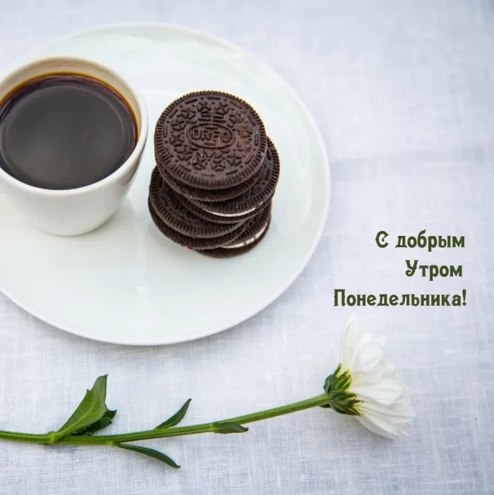 Красивые открытки и картинки Добрым утром понедельника.