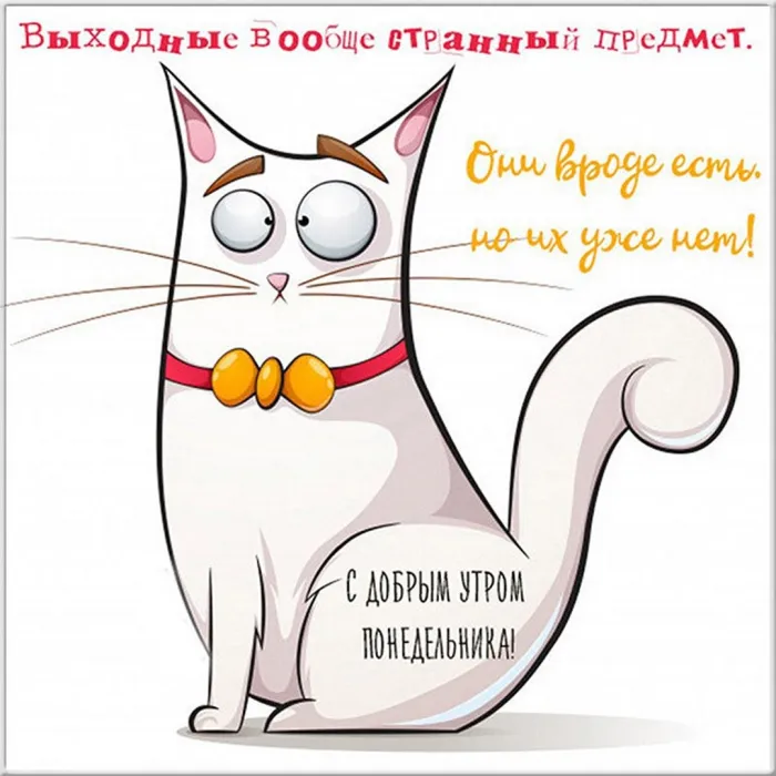 Красивые открытки и картинки Добрым утром понедельника.