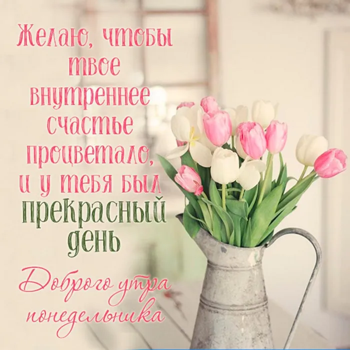 Красивые открытки и картинки Добрым утром понедельника.