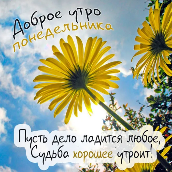 Красивые открытки и картинки Добрым утром понедельника.