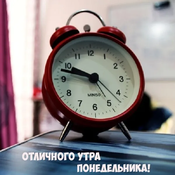 Красивые открытки и картинки Добрым утром понедельника.