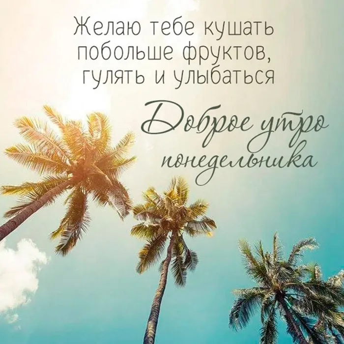 Красивые открытки и картинки Добрым утром понедельника.