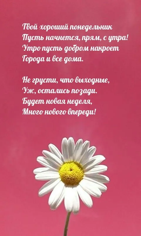 Красивые открытки и картинки Добрым утром понедельника.