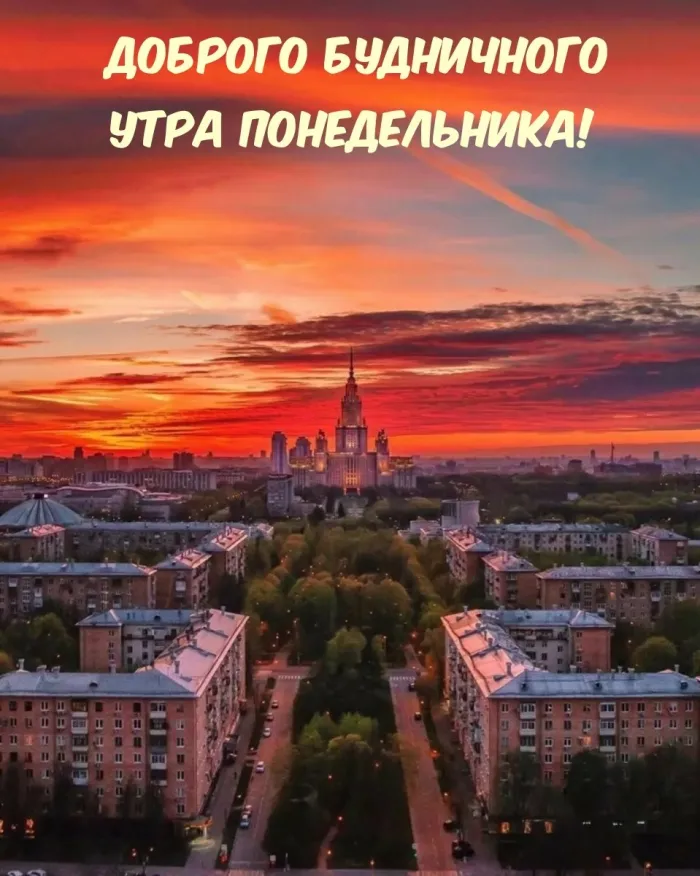 Красивые открытки и картинки Добрым утром понедельника.