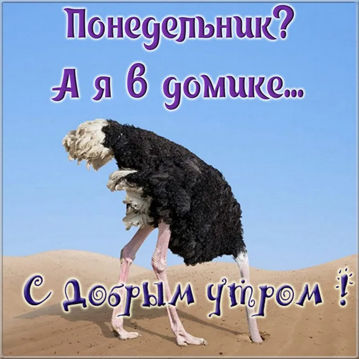 Красивые открытки и картинки Добрым утром понедельника.