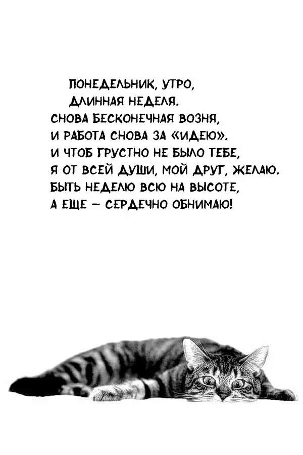 Красивые открытки и картинки Добрым утром понедельника.