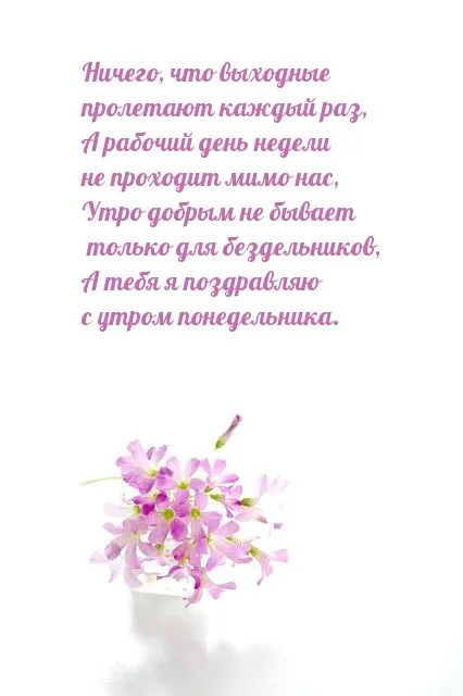 Красивые открытки и картинки Добрым утром понедельника.