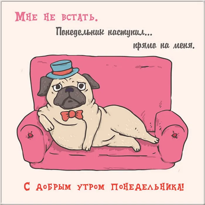Красивые открытки и картинки Добрым утром понедельника.