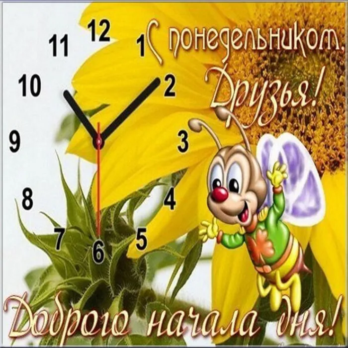Красивые открытки и картинки Добрым утром понедельника.
