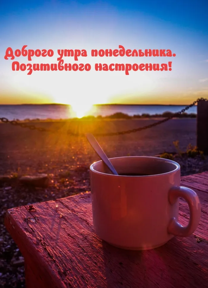Красивые открытки и картинки Добрым утром понедельника.