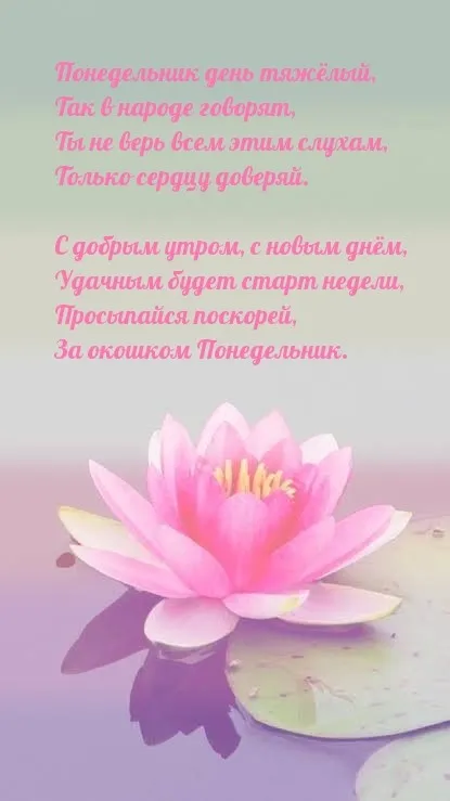 Красивые открытки и картинки Добрым утром понедельника.